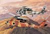 1/144 SH-60F Oceanhawk "NSAWC & TOPGUN" (Twin Pack)