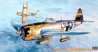 1/48 P-47D-25 Thunderbolt