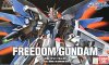 HG 1/144 ZGMF-X10A Freedom Gundam