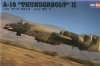 1/48 A-10A Thunderbolt II