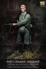 1/24 WWII German Sergeant, Heeresgruppe Mitte, July 1941