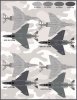 1/48 F-4J/F-4S Phantom II, Lo-Viz Devil Dog Rhinos