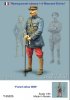 1/35 WWI French Officer