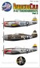 1/72 P-47 Thunderbolt Part.3
