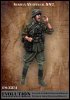 1/35 WWII German SS Officer