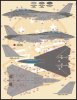 1/48 F-14 Tomcat Stencil & Data