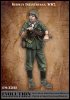 1/35 WWII German Infantryman #1