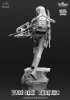 1/35 Call Sign Goshwak