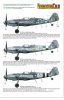 1/32 Erla Bf109G-10 Part.2