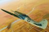 1/48 Focke-Wulf Fw190D-11