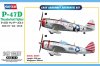 1/48 P-47D Thunderbolt Fighter