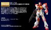 MG 1/100 OMS-90R Gundam F90, Mars Independent Zeon Forces Type