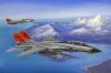 1/48 F-14D Super Tomcat