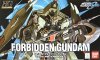 HG 1/144 GAT-X252 Forbidden Gundam