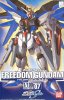HG 1/100 ZGMF-X10A Freedom Gundam