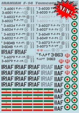 1/48 Iranian F-14 Tomcat