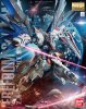 MG 1/100 ZGMF-X10A Freedom Gundam Ver.2.0