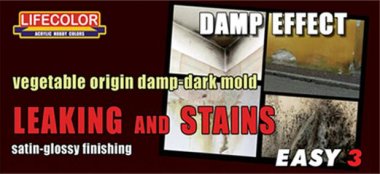 Damp Effect "Leaking and Stains"
