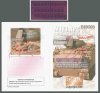 1/35 M113 APC Periscope Surface Inserts - Pink (fits Academy)