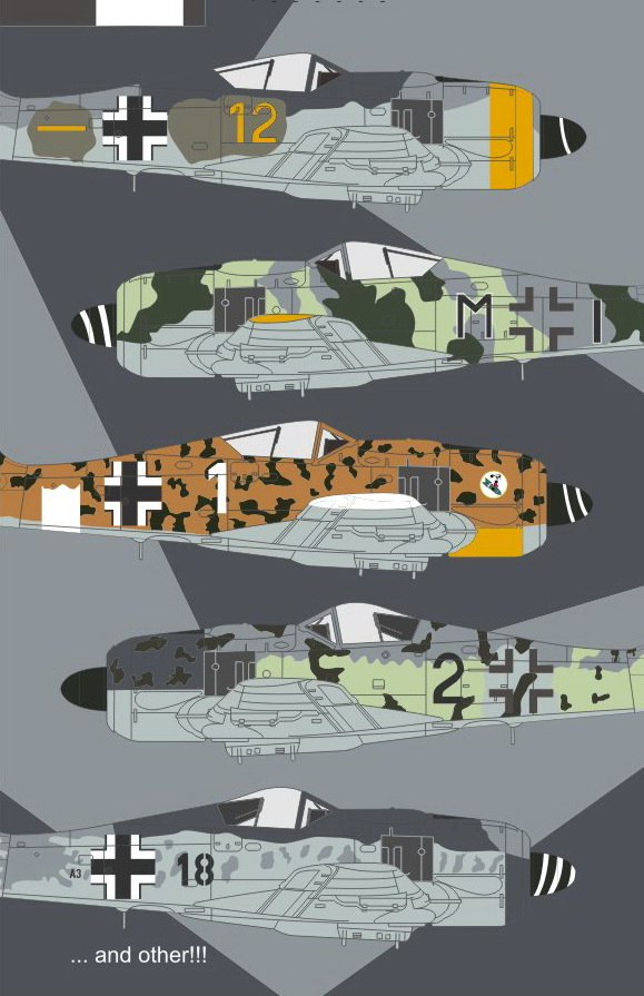 1/48 WWII Focke-Wulf Fw190F-8 "Unknown Schemes and Markings" - Click Image to Close