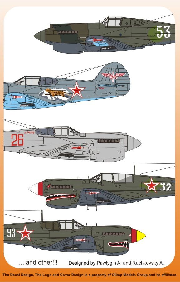 1/48 Curtiss P-40 In Russian Sky - Click Image to Close