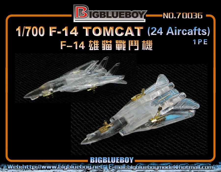 1/700 F-14 Tomcat Detail Up Etching Parts for 24 Aircraft - Click Image to Close