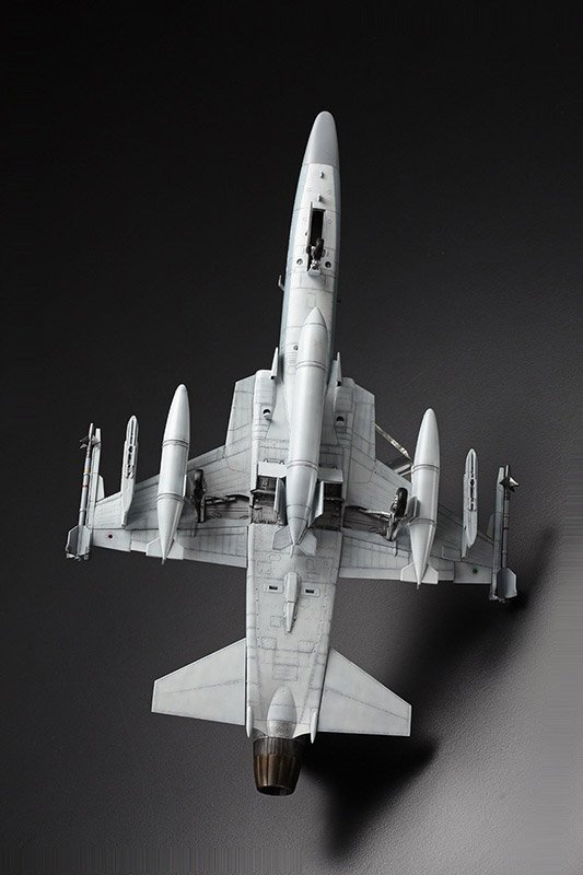 1/48 F-20A Tiger Shark - Click Image to Close