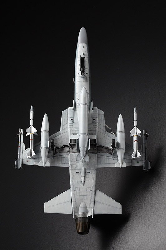 1/48 F-20A Tiger Shark - Click Image to Close
