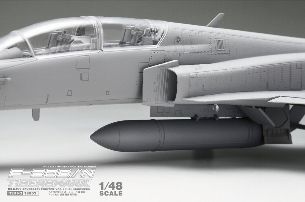 1/48 F-20B/N Tiger Shark, Two Seat Fighter/Trainer - Click Image to Close