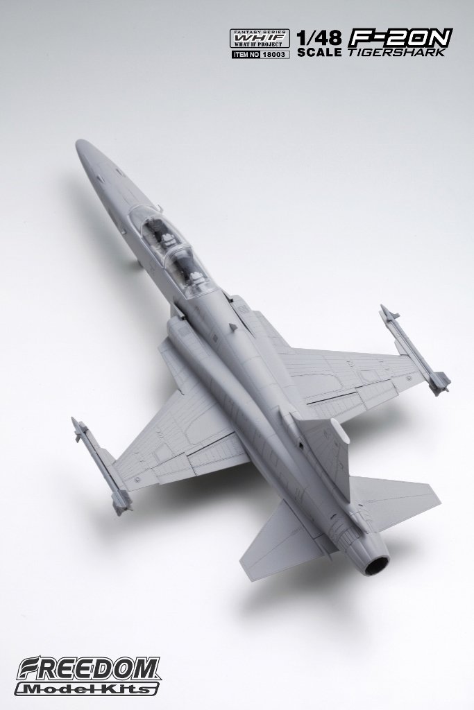 1/48 F-20B/N Tiger Shark, Two Seat Fighter/Trainer - Click Image to Close