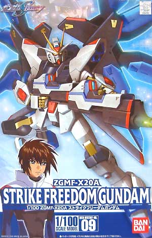 HG 1/100 ZGMF-X20A Strike Freedom Gundam - Click Image to Close