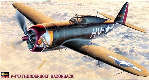 1/48 P-47D Thunderbolt "Razorback" - Click Image to Close