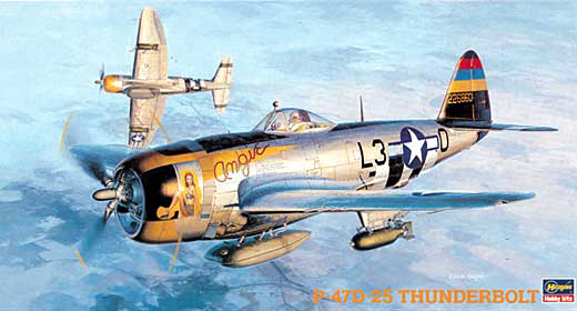 1/48 P-47D-25 Thunderbolt - Click Image to Close