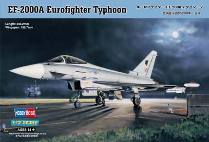 1/72 EF-2000A Eurofighter Typhoon - Click Image to Close