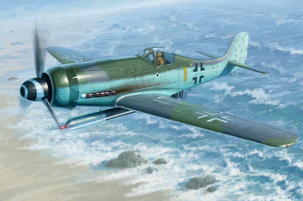 1/48 Focke-Wulf Fw190D-12 R14 - Click Image to Close