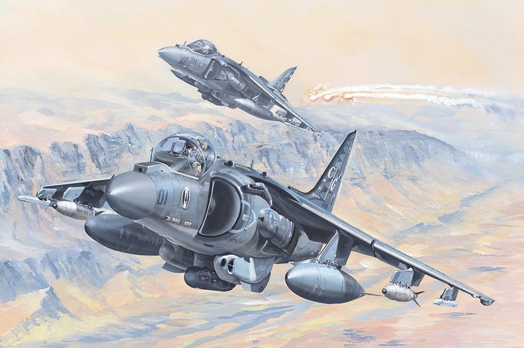 1/18 AV-8B Harrier II - Click Image to Close