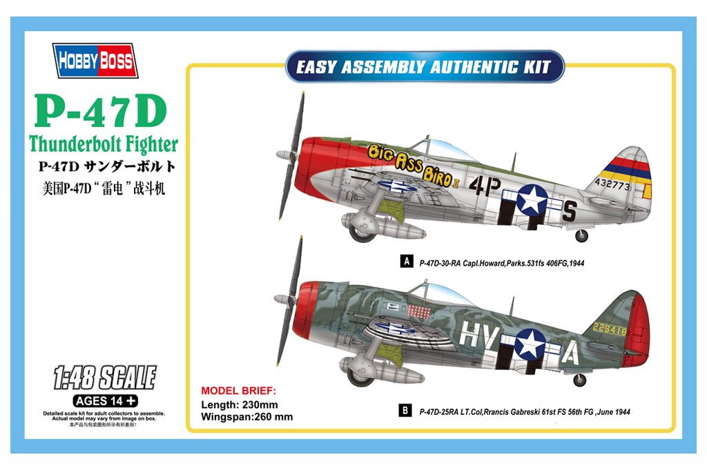 1/48 P-47D Thunderbolt Fighter - Click Image to Close
