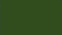 Black Green RLM70/FS34052 - Click Image to Close