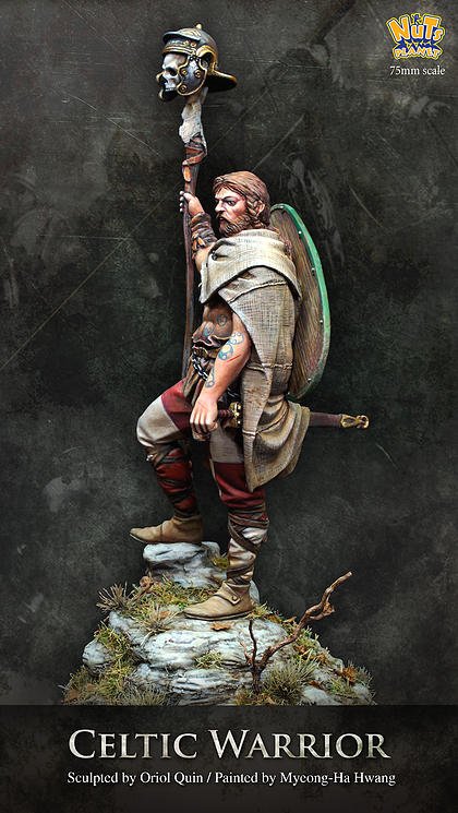 1/24 Celtic Warrior - Click Image to Close