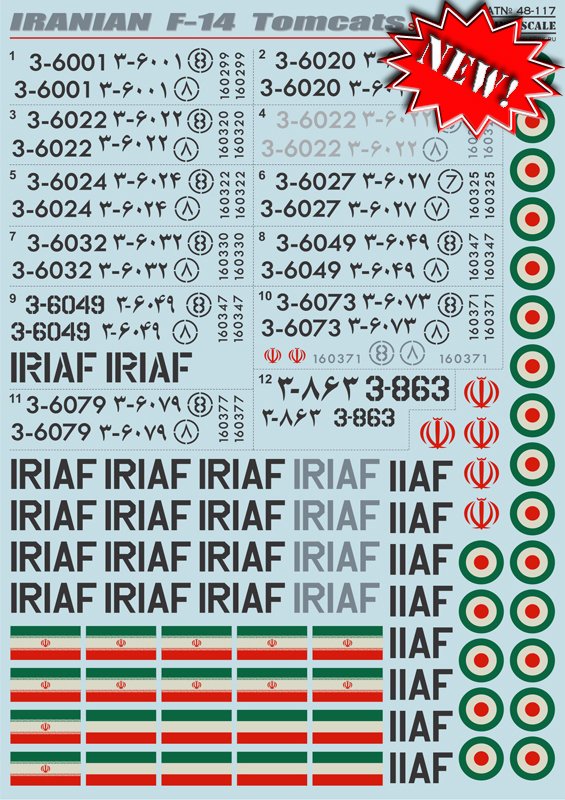 1/48 Iranian F-14 Tomcat - Click Image to Close