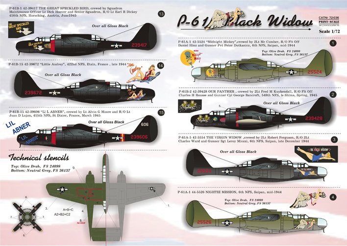 1/72 P-61 Black Widow - Click Image to Close