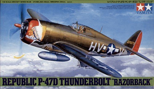 1/48 Republic P-47D Thunderbolt "Razorback" - Click Image to Close