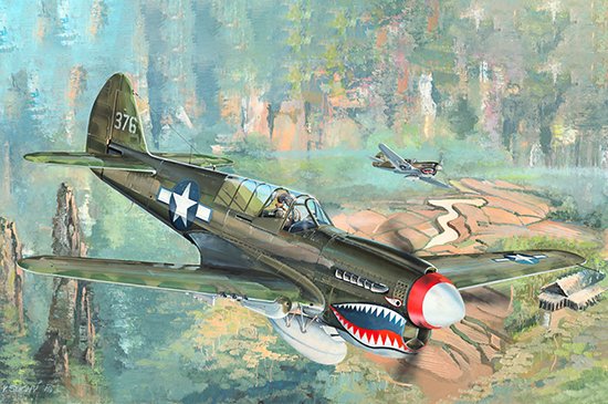 1/32 P-40N Warhawk - Click Image to Close