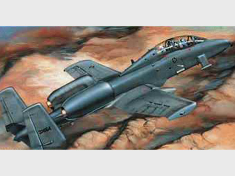 1/32 A-10A Thunderbolt II N/AW - Click Image to Close