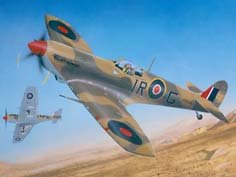 1/24 Spitfire Mk.VB Trop - Click Image to Close