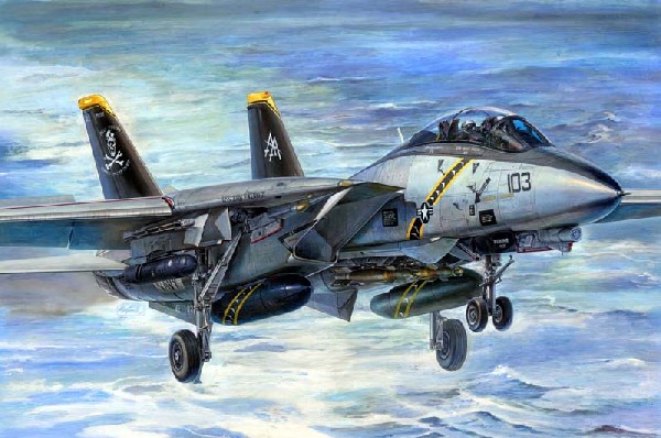 1/32 F-14B Tomcat (Bomb-Cat) - Click Image to Close