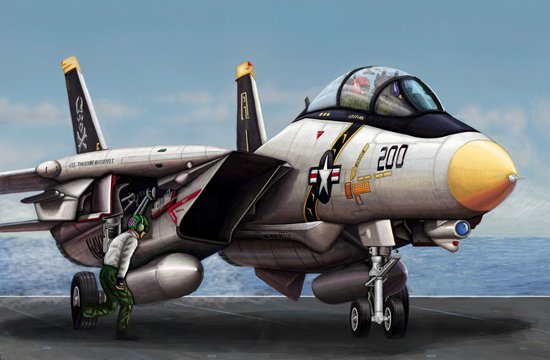 1/144 F-14A Tomcat - Click Image to Close
