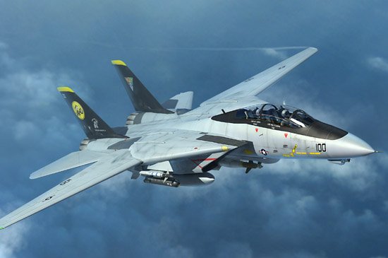 1/144 F-14D Tomcat - Click Image to Close