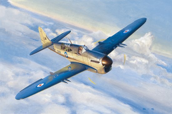 1/48 Fairey Firefly Mk.1 - Click Image to Close